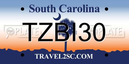 TZBI30 South Carolina License Plate