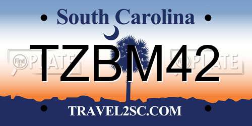 TZBM42 South Carolina License Plate