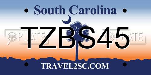 TZBS45 South Carolina License Plate