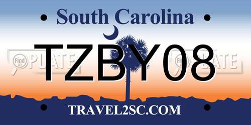 TZBY08 South Carolina License Plate