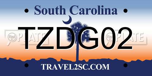 TZDG02 South Carolina License Plate