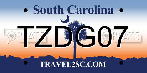 TZDG07 South Carolina License Plate