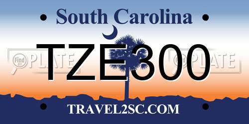 TZE300 South Carolina License Plate