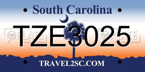TZE3025 South Carolina License Plate