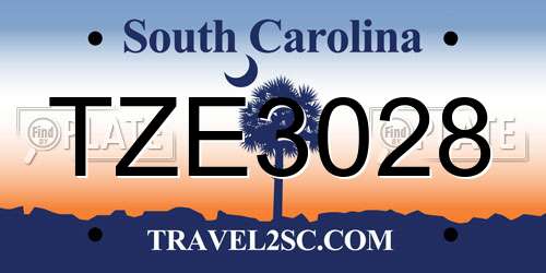 TZE3028 South Carolina License Plate