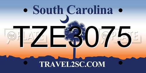 TZE3075 South Carolina License Plate