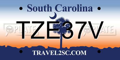 TZE37V South Carolina License Plate