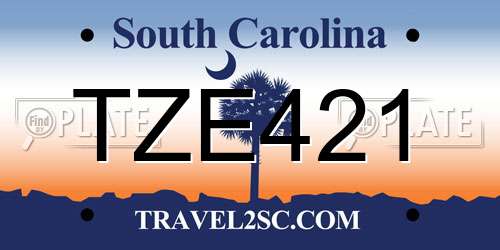 TZE421 South Carolina License Plate