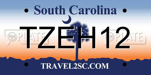 TZEH12 South Carolina License Plate
