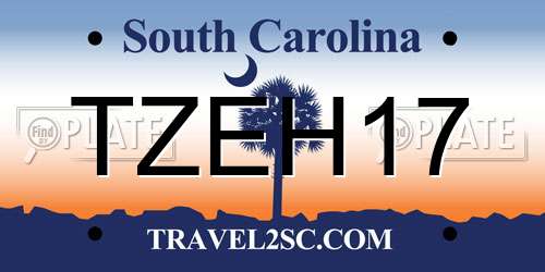 TZEH17 South Carolina License Plate