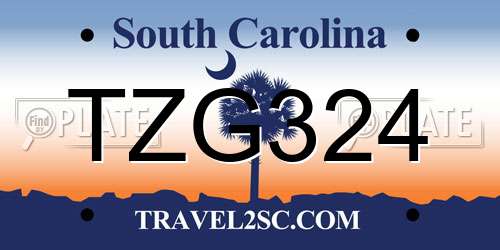 TZG324 South Carolina License Plate