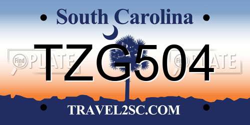 TZG504 South Carolina License Plate