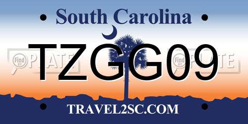 TZGG09 South Carolina License Plate