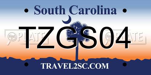 TZGS04 South Carolina License Plate