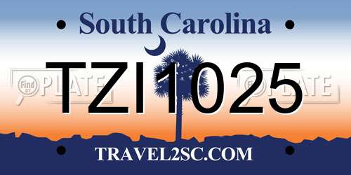 TZI1025 South Carolina License Plate
