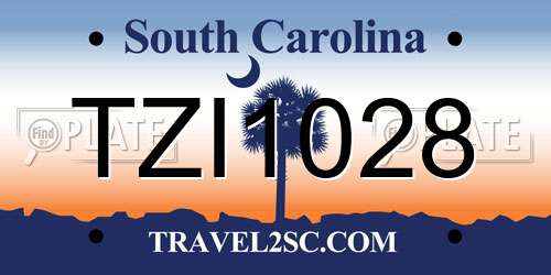 TZI1028 South Carolina License Plate