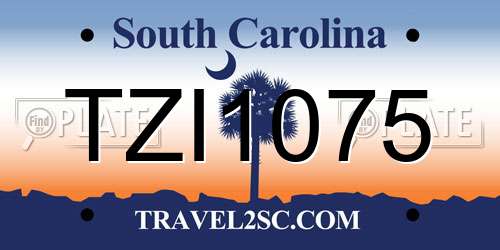 TZI1075 South Carolina License Plate