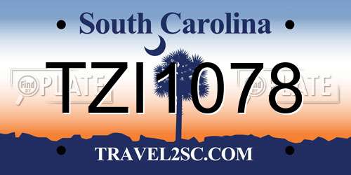 TZI1078 South Carolina License Plate