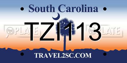 TZI113 South Carolina License Plate
