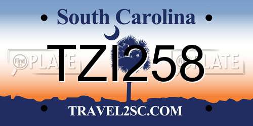 TZI258 South Carolina License Plate