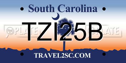TZI25B South Carolina License Plate