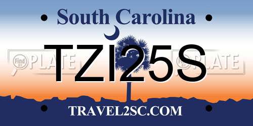 TZI25S South Carolina License Plate