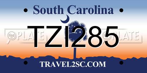 TZI285 South Carolina License Plate