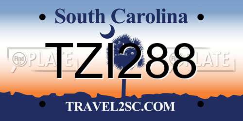 TZI288 South Carolina License Plate
