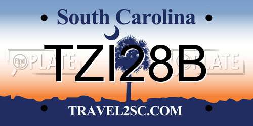 TZI28B South Carolina License Plate