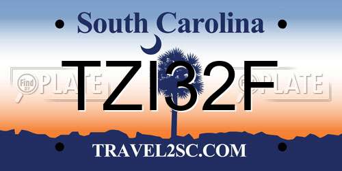 TZI32F South Carolina License Plate
