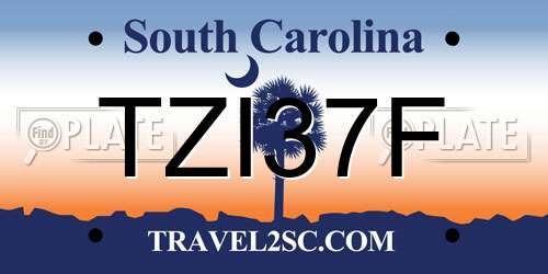TZI37F South Carolina License Plate