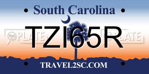 TZI65R South Carolina License Plate