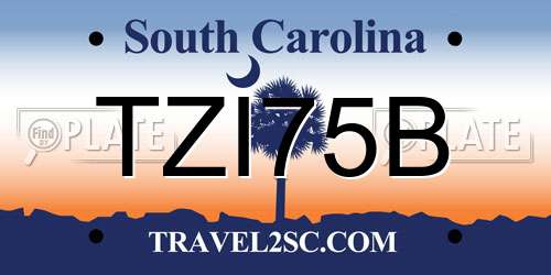 TZI75B South Carolina License Plate