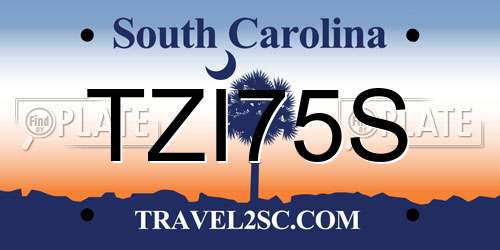 TZI75S South Carolina License Plate
