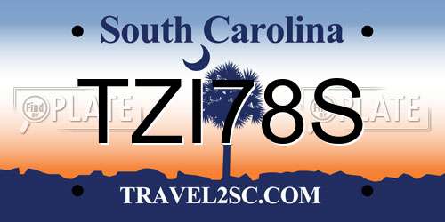 TZI78S South Carolina License Plate