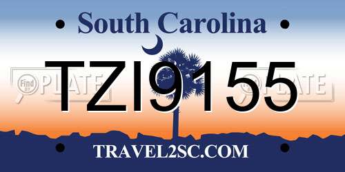 TZI9155 South Carolina License Plate