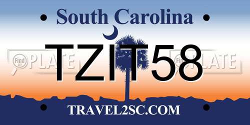 TZIT58 South Carolina License Plate