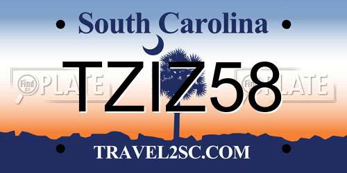 TZIZ58 South Carolina License Plate