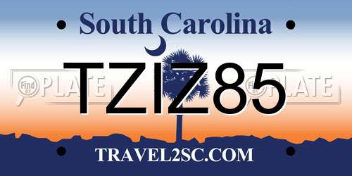 TZIZ85 South Carolina License Plate