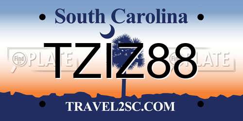 TZIZ88 South Carolina License Plate
