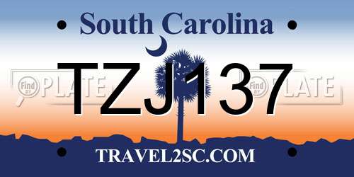 TZJ137 South Carolina License Plate