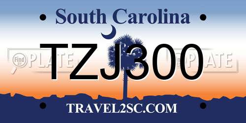 TZJ300 South Carolina License Plate
