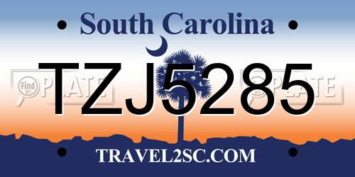 TZJ5285 South Carolina License Plate