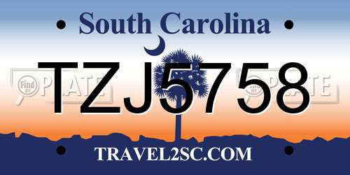 TZJ5758 South Carolina License Plate