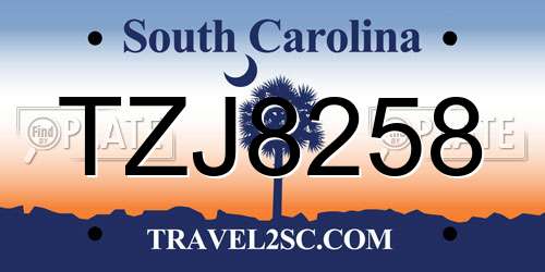TZJ8258 South Carolina License Plate