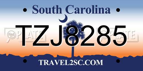 TZJ8285 South Carolina License Plate