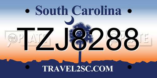 TZJ8288 South Carolina License Plate