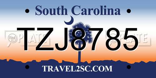 TZJ8785 South Carolina License Plate