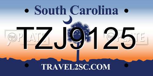 TZJ9125 South Carolina License Plate