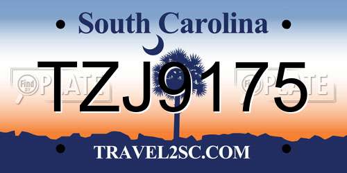 TZJ9175 South Carolina License Plate